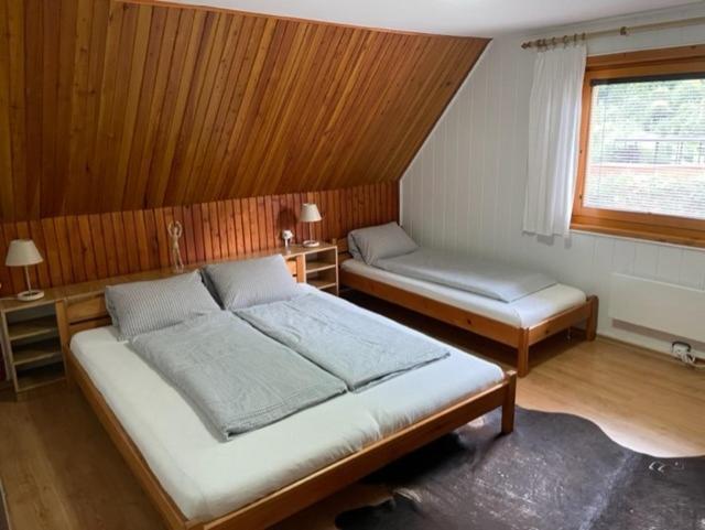 Chata Jana Demaenovska Dolina Buitenkant foto