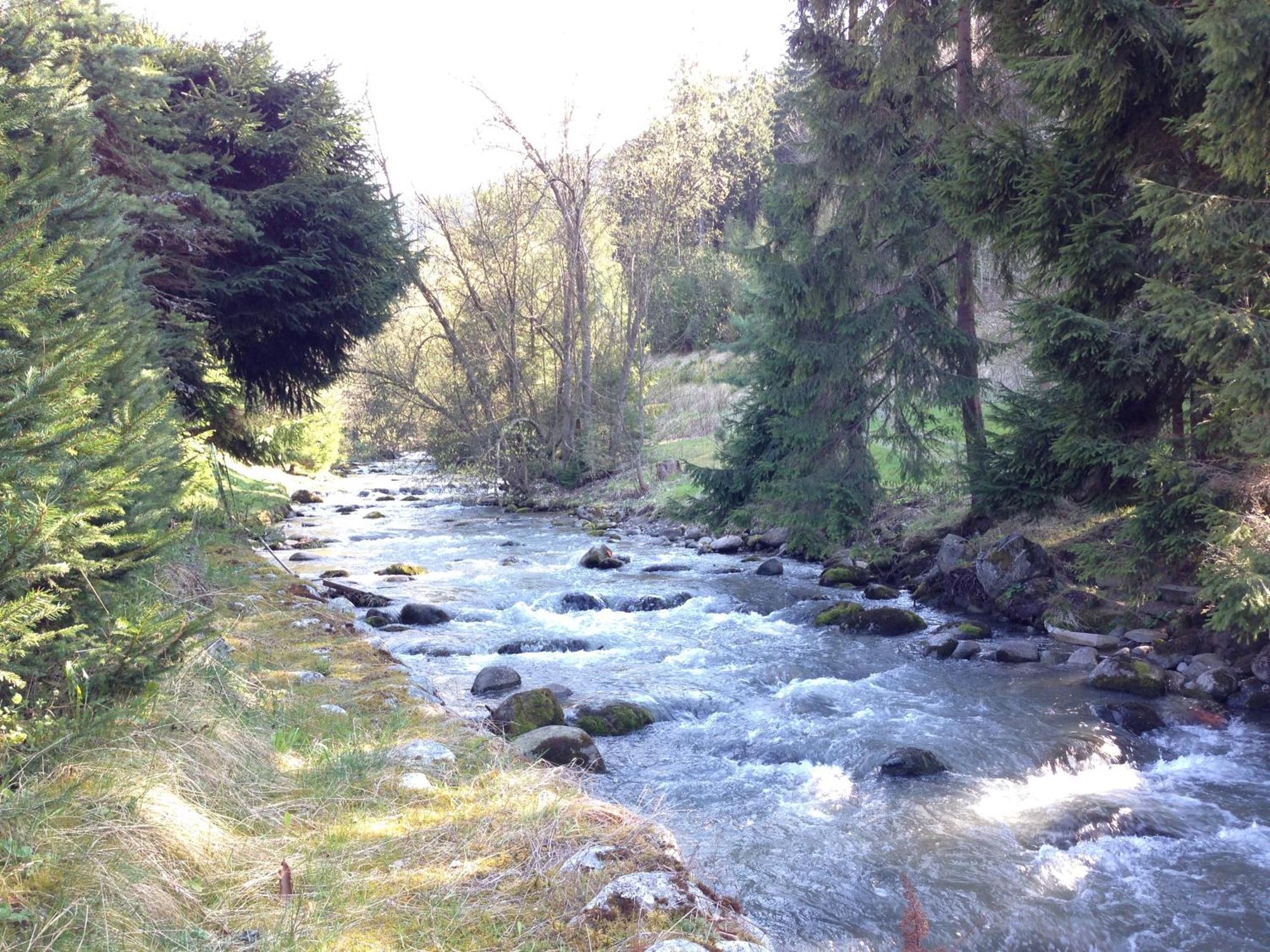 Chata Jana Demaenovska Dolina Buitenkant foto